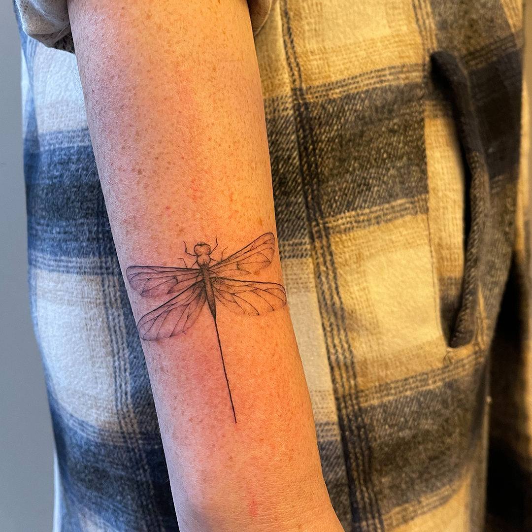 microrealism_dragonfly